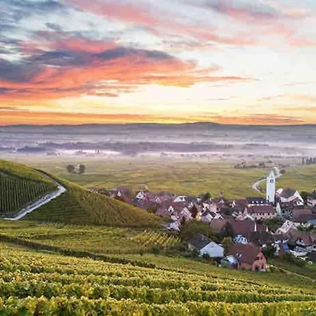 Prive 2 Pieces 42m Proche Centre Apartamento Schiltigheim