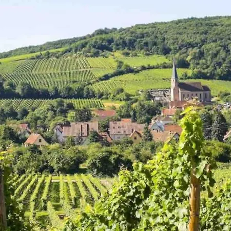 Prive 2 Pieces 42m Proche Centre Apartamento Schiltigheim